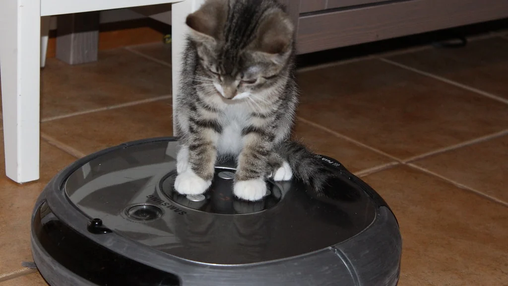 Cat sitting on top of a robot vacuum on a rug