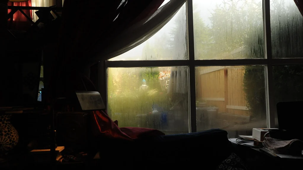Empty room with daylight through a large window